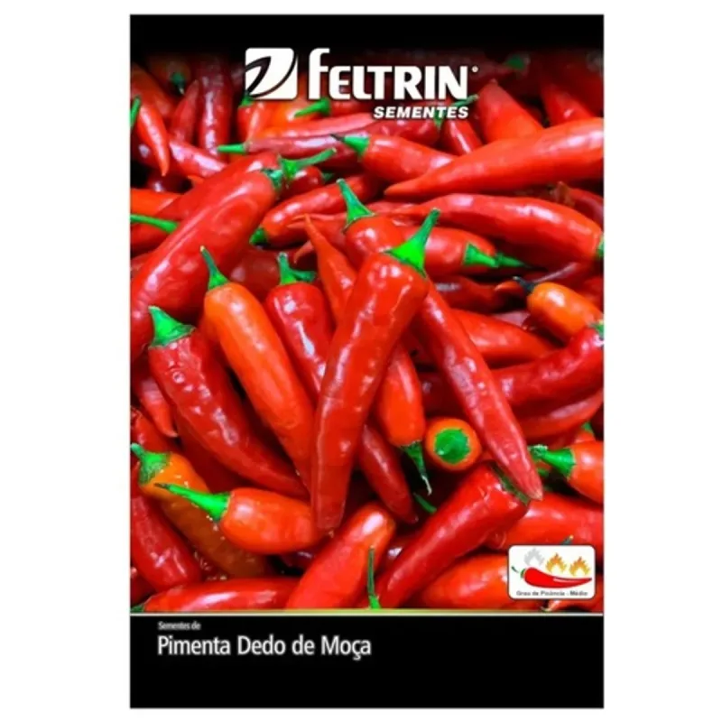 SEMENTE PIMENTA DEDO DE MOÇA ECON - MOCA - Jardinagem