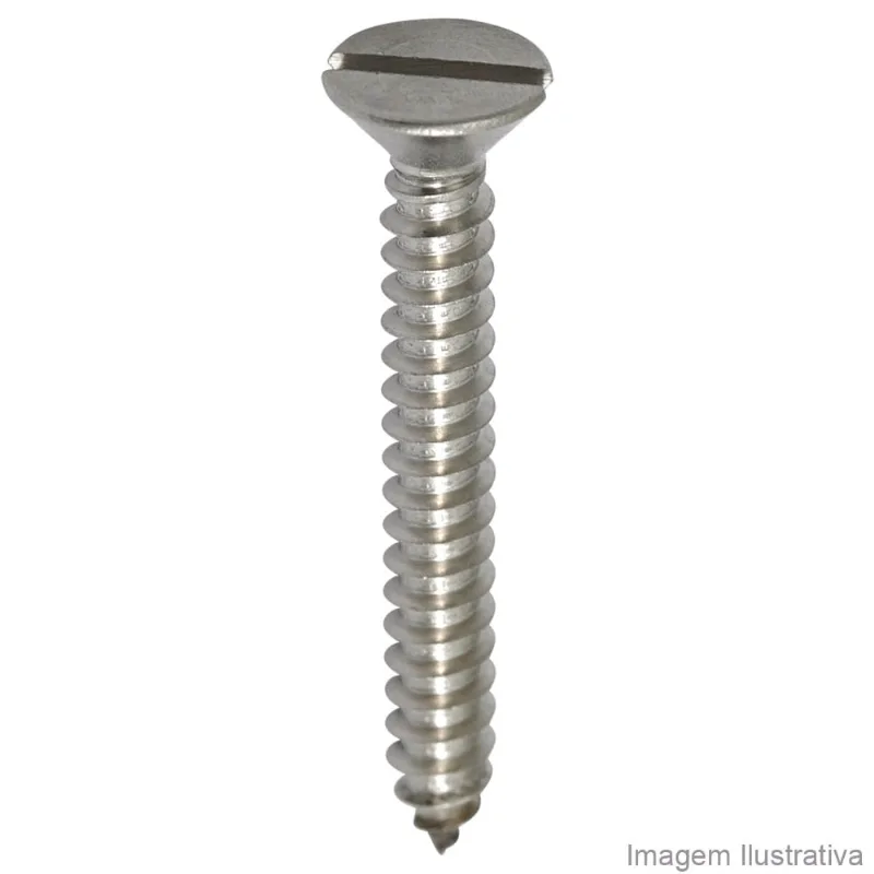Parafuso Atarraxante Inox Cabeça Chata 2,9mm X 19mm Fixtil