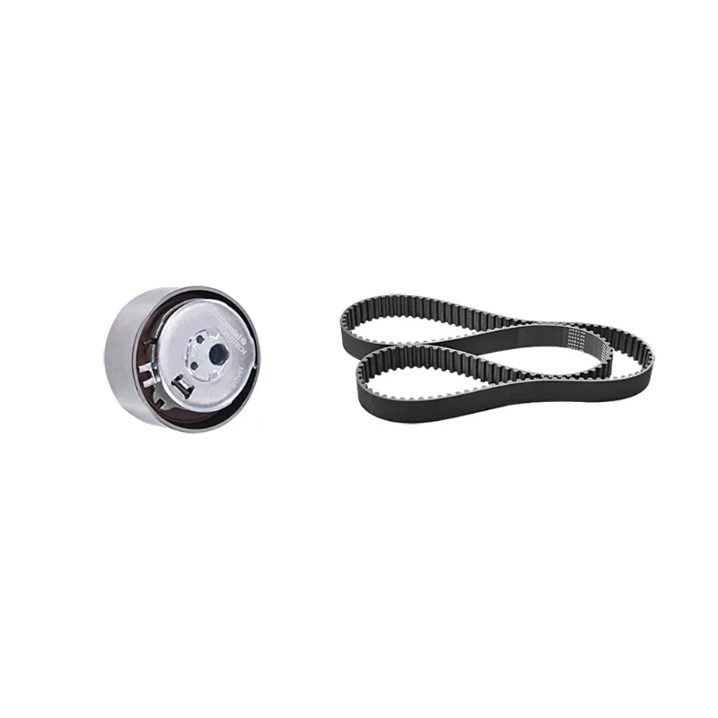 Kit Rolamento Tensor Correia Dentada Punto Palio Weekend Strada 1.4 09/ Zen