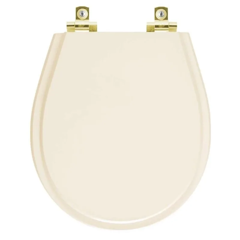 Assento Sanitário Soft Close Avalon Bone Para Vaso Ideal Standard Com Ferragem Dourada - OUTRAS - Casa E Construção