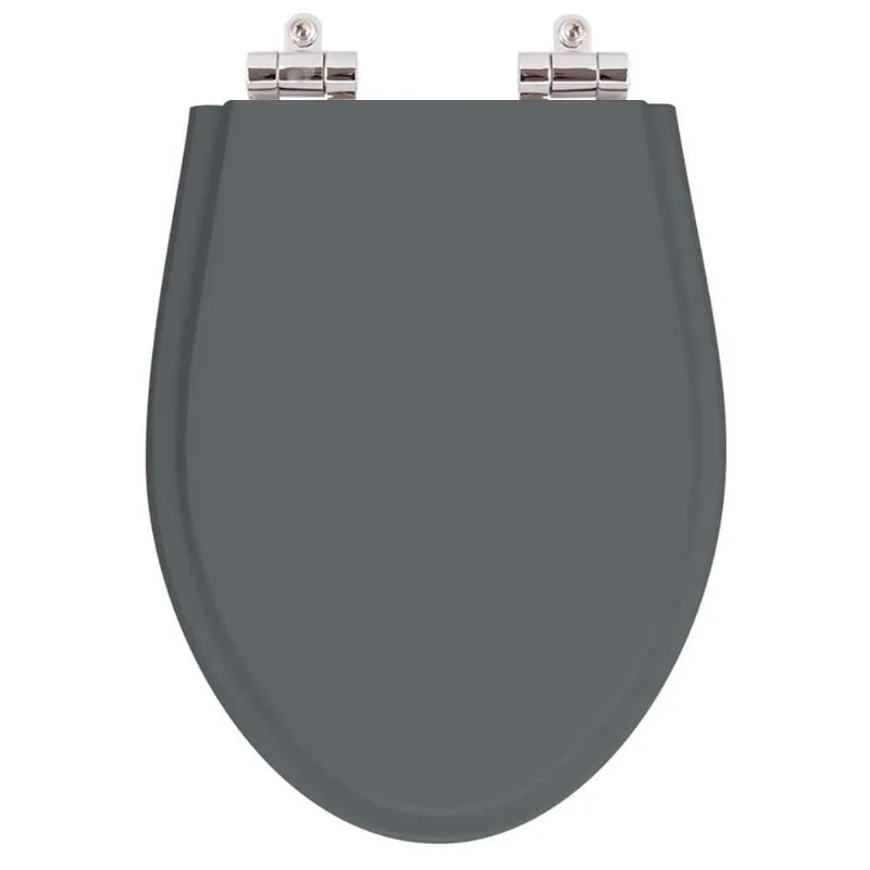 Assento Sanitario Poliester Com Amortecedor Absolute Cinza Quartzo Para Vaso Ideal Standard