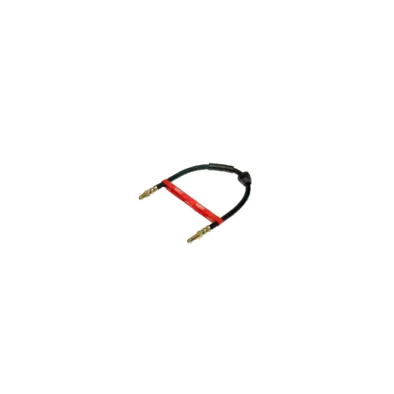 Flexivel Freio Traseiro Esquerdo Ou Direito 440Mm Rpfx00260 Trw - TRW