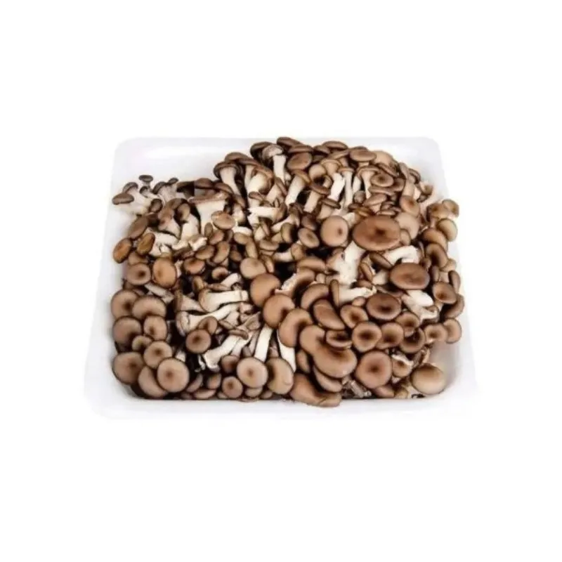 Cogumelos Shimeji Preto Fazenda Velha 200g