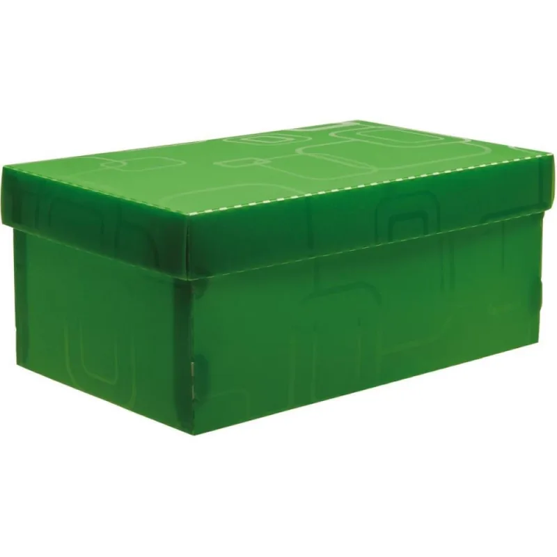 Caixa Organizadora TOP Line Sapato 28X17X12CM.VD - DELLO - Utilidades Domesticas