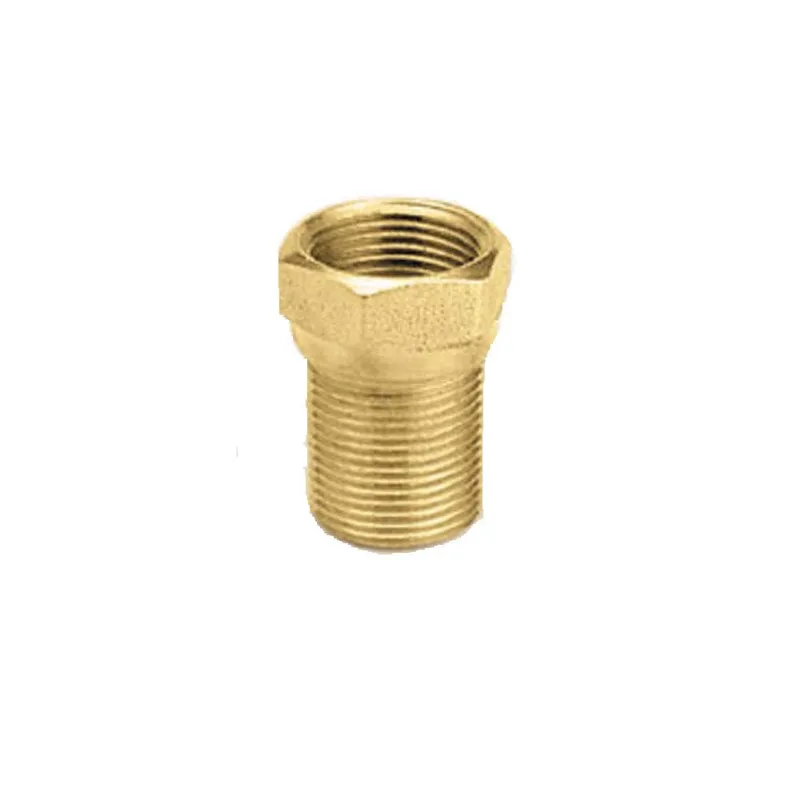 Extensão 5cm 1/2 " Ramo