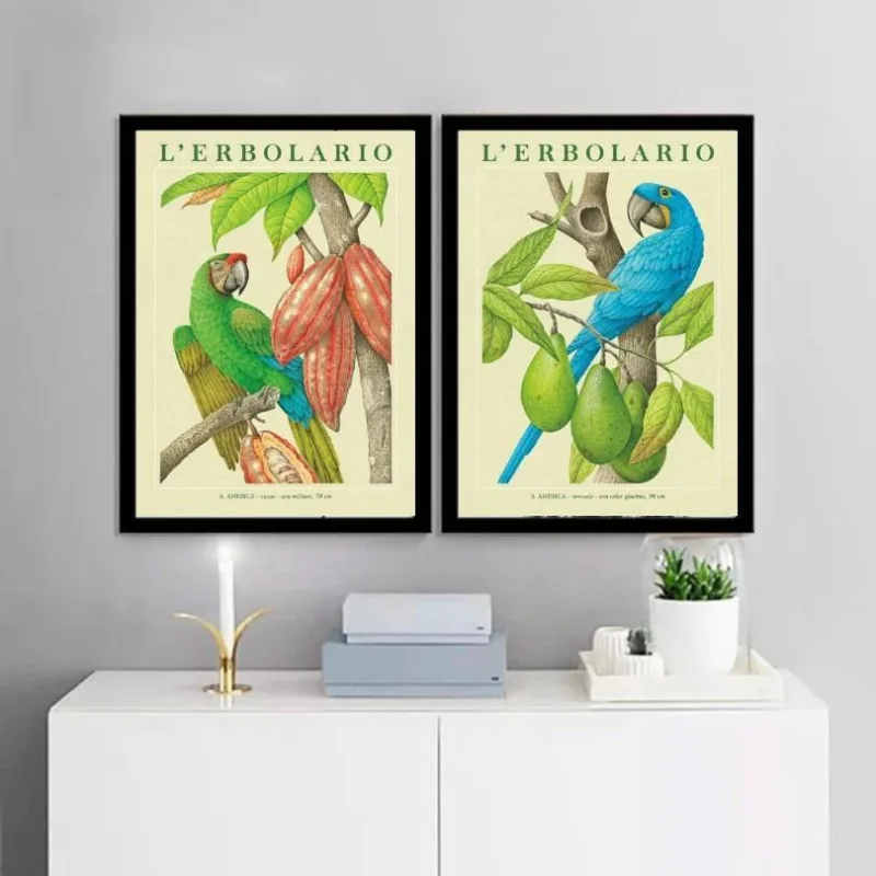 Kit 2 Quadros Botânicos Araras Tropicais 33X24Cm - Com Vidro - Não Disponível - Decoração