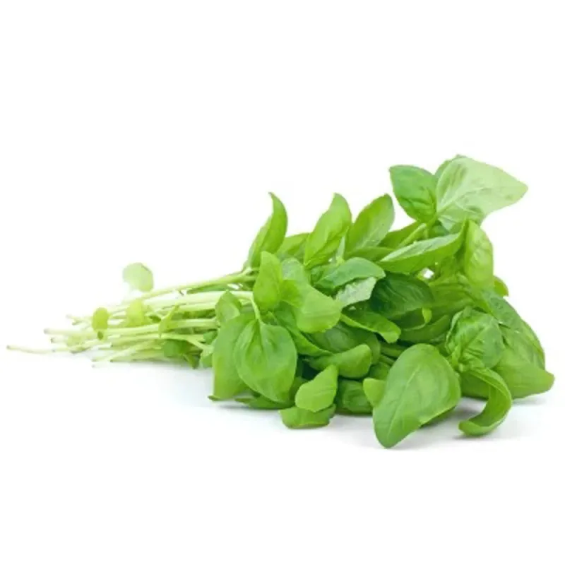 Manjericão Agrofolhas Hidropônico Unid - Agrofolhas - Hortifruti