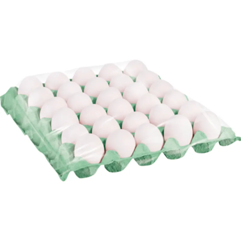 Ovo Grande Granja Lobo Branco Pvc 30 un