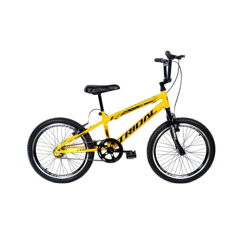 Bicicleta Aro 20 Infantil Bmx Cross Tridal Bike