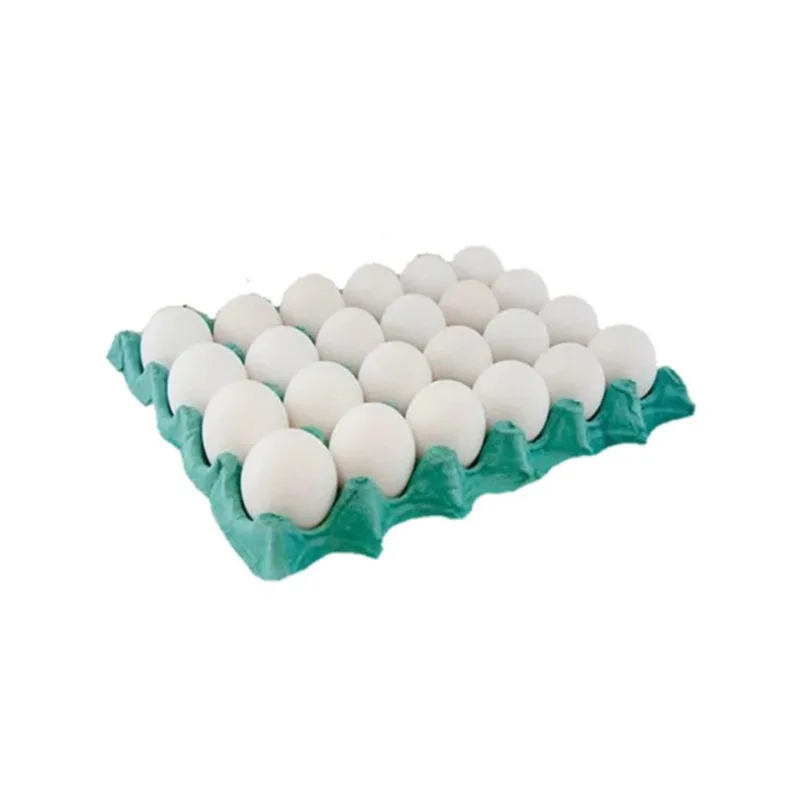 Ovo Branco Grande Bandeja com 20 Unidades