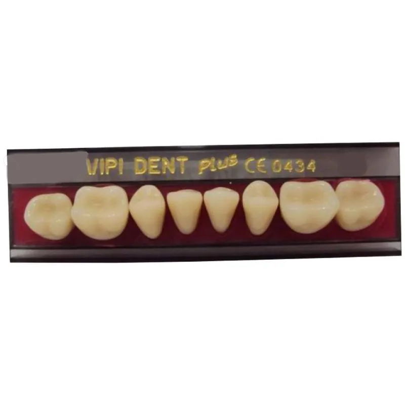 Dente Vipi Dent Plus Posterior Inferior - VIPI 34l Cor 66 (Cód. 25.2979)