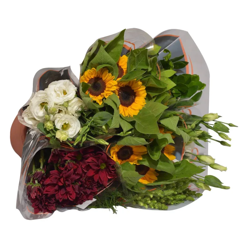 Complemento Florais - SEM MARCA - Jardinagem