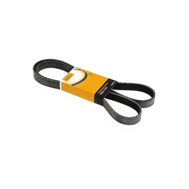Correia Poly V 6Pk2225 Contitech