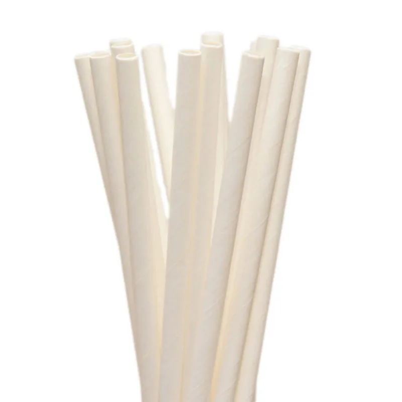 Kit 25 Canudos Reto de Papel Ecológico Biodegradável 20cm