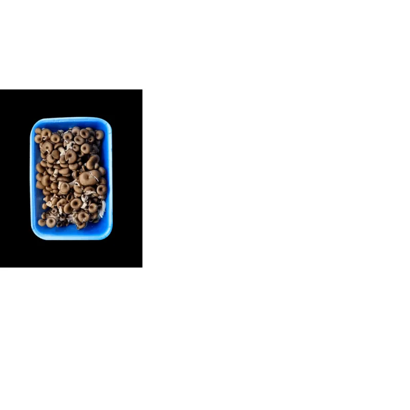 COG SHIME ORG CHICO 200G