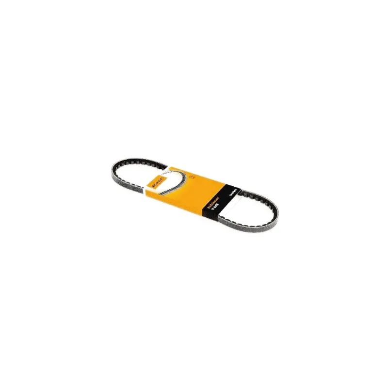 Correia Poly V Avx13X1120 Contitech - Contitech