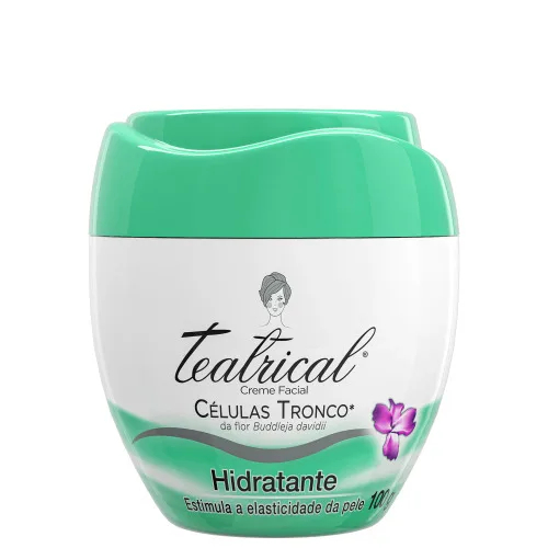 CREME HIDRATANTE FACIAL TEATRICAL 100G - HIDRAT - Hidratante