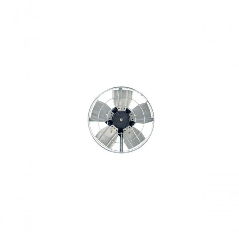 Exaustor Industrial 30cm 110V
