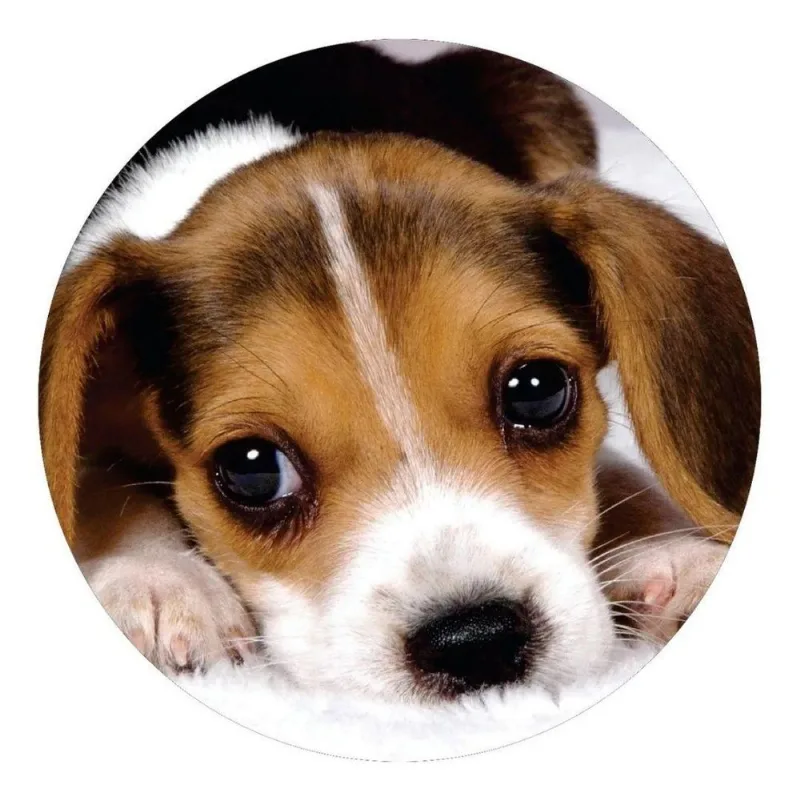 Capa De Estepe Ecosport Aircross Crossfox Dog Distraído