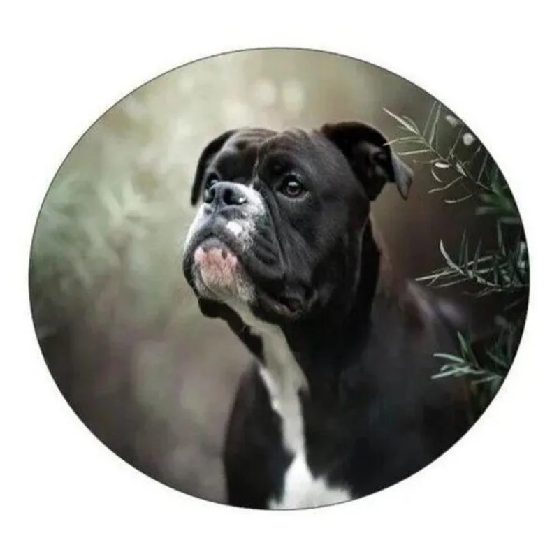 Capa De Estepe Ecosport Aircross Crossfox Dog Preto