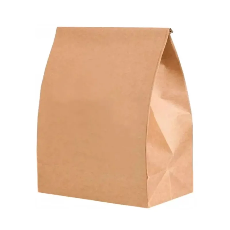 Saco papel kraft impres raizs 10KG C/250