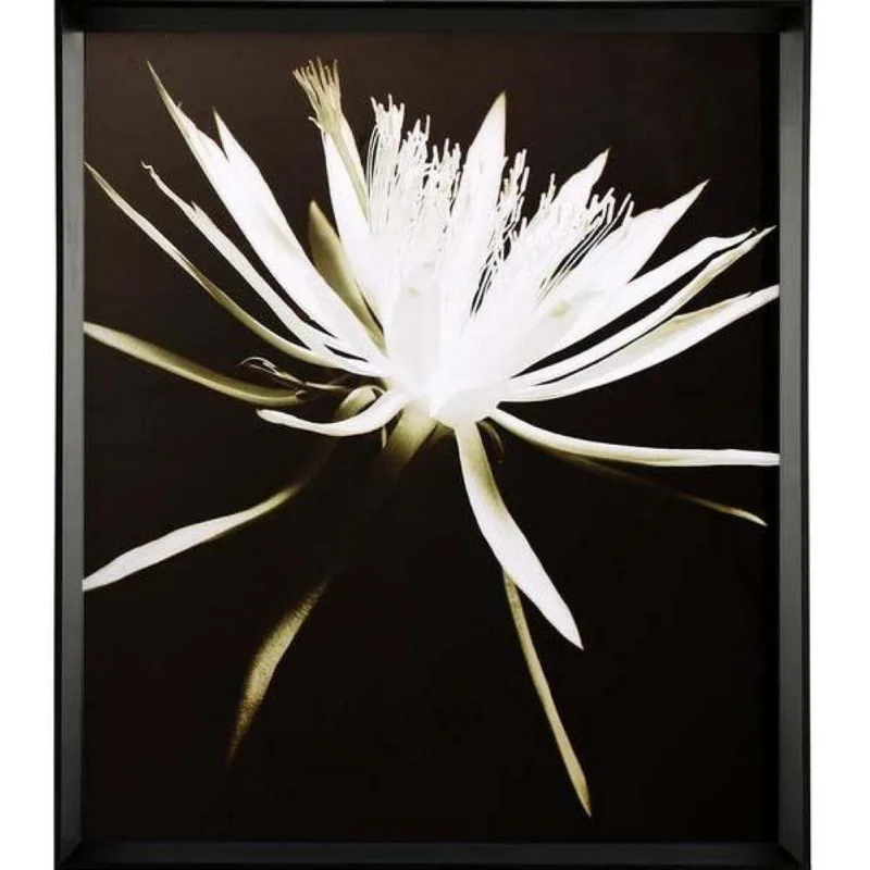 Quadro Decorativo Arte Própria Floral Old Ii 78x78cm