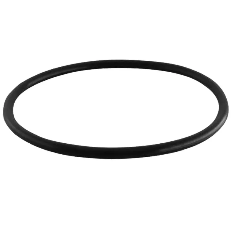 Guarnição Bomba Gm Onix 2020 A 2021 - 975286 - 1489 8246068 (975286)