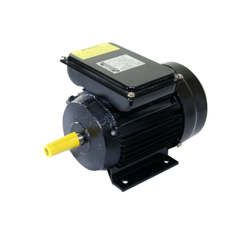 Motor Elétrico 3CV 2 Pólos Monofásico Bivolt IP55 YL90L Lynus