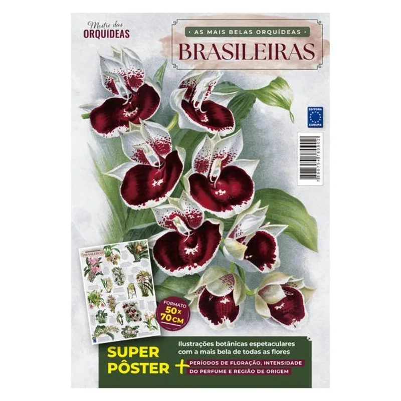 PÔSTER MESTRE DAS ORQUÍDEAS - AS MAIS BELAS ORQUÍDEAS BRASILEIRAS