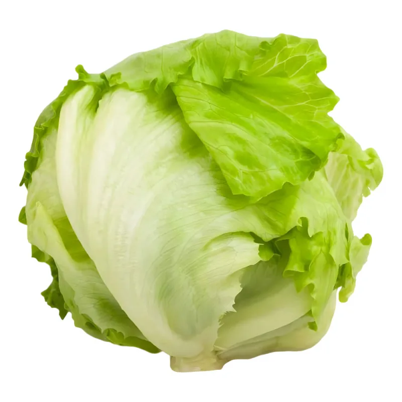 Salada de Alface Americana Suprema 200g - Sem Marca - Hortifruti