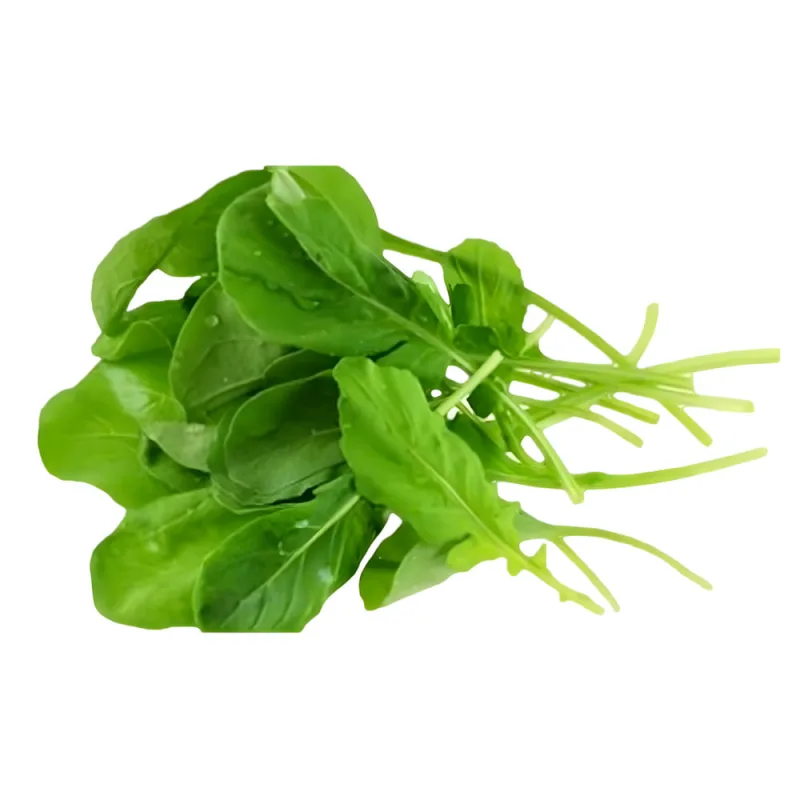 Salada de Rúcula Suprema 200g - Sem Marca