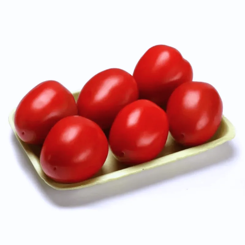 Tomate Italiano Orgânico Sítio Cambará 1kg