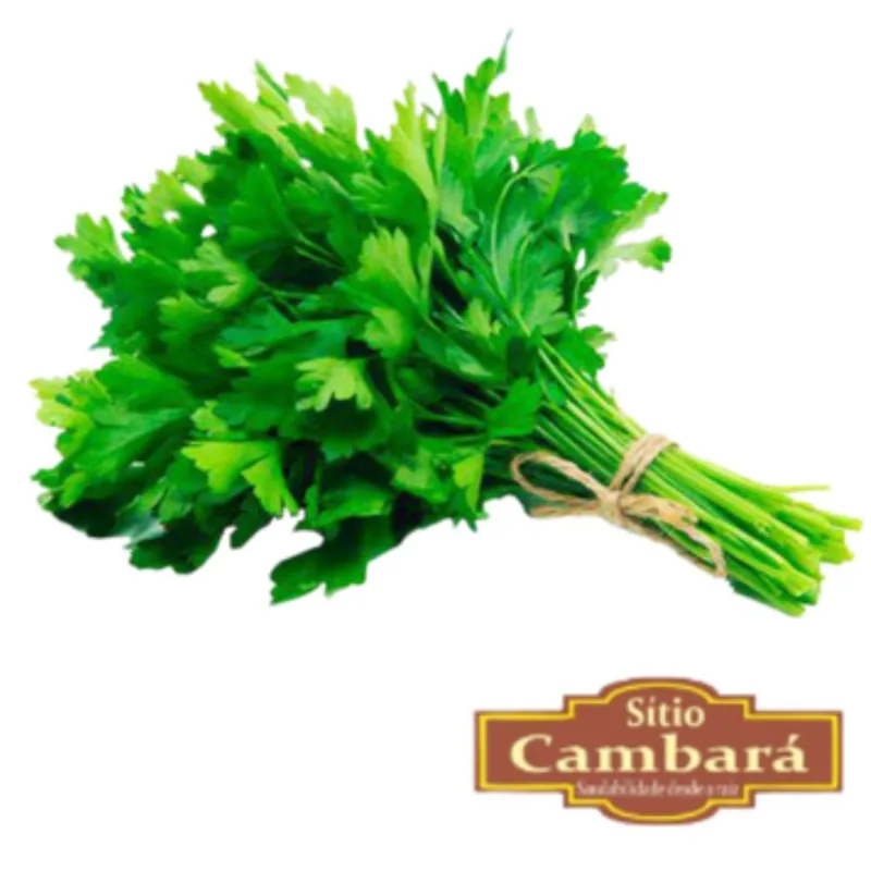 Salsa Orgânica Sítio Cambará