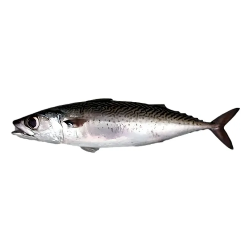 Peixe Cavalinha Juanfish Inteiro Congelado 1Kg - JUANFISH - Peixaria