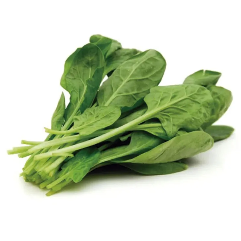 Rúcula Orgânica Sempre Verde Unid - SEMPRE VERDE - Hortifruti
