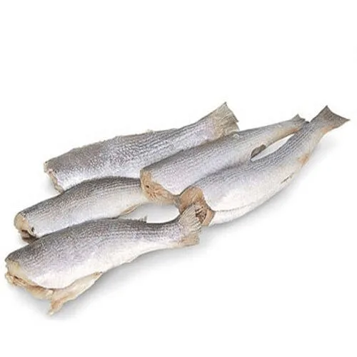 Peixe Sardinha Eviscerada 800g - SEM MARCA - Peixaria