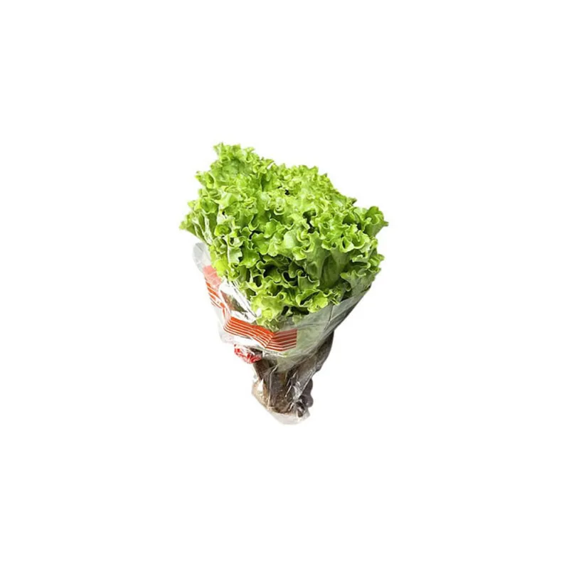 Alface Crespa Hidropônica Hidro Sabor Unidade