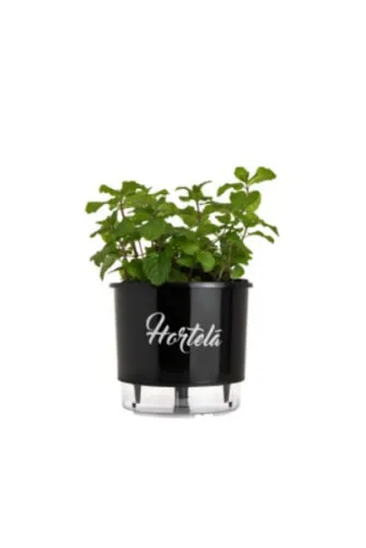 Vaso Raiz Autoirrigavel 03 Preto Hortela - PRETO - Papelaria