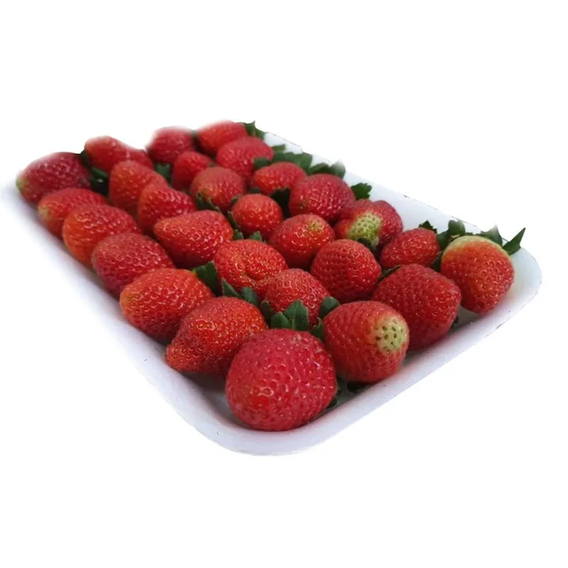 Morango