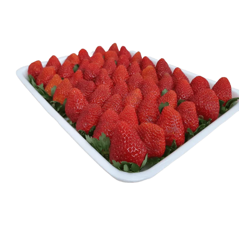 Morango