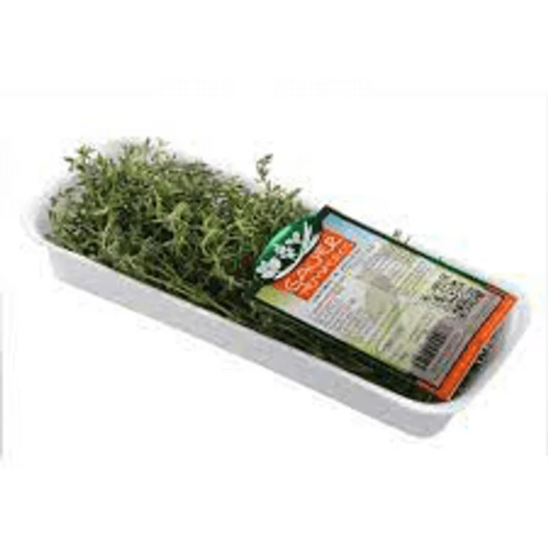 TOMILHO GAUER 16G Tomilho GAUER Temperos 16g