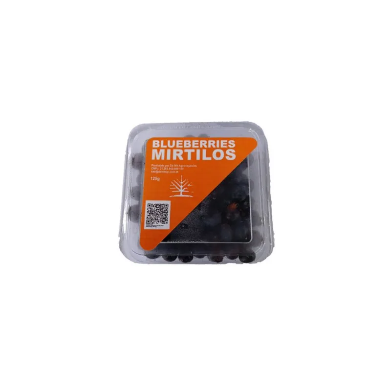 Blueberries Mirtilos 125g