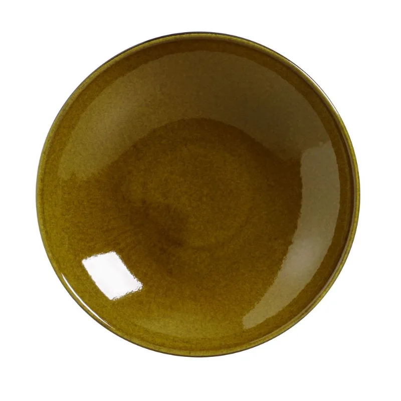 Conjunto com 6 Pratos Fundo Coup Stoneware Âmbar Ø20,3cm 600ml
