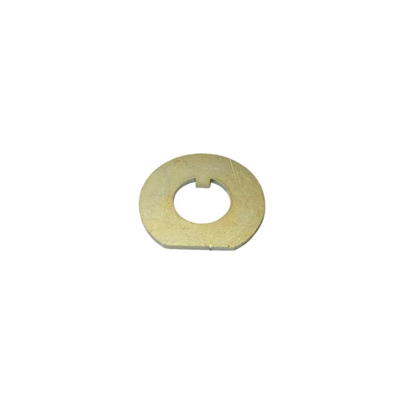 Arruela Encosto Rolamento Cubo Dianteiro S10 Blazer 4X2