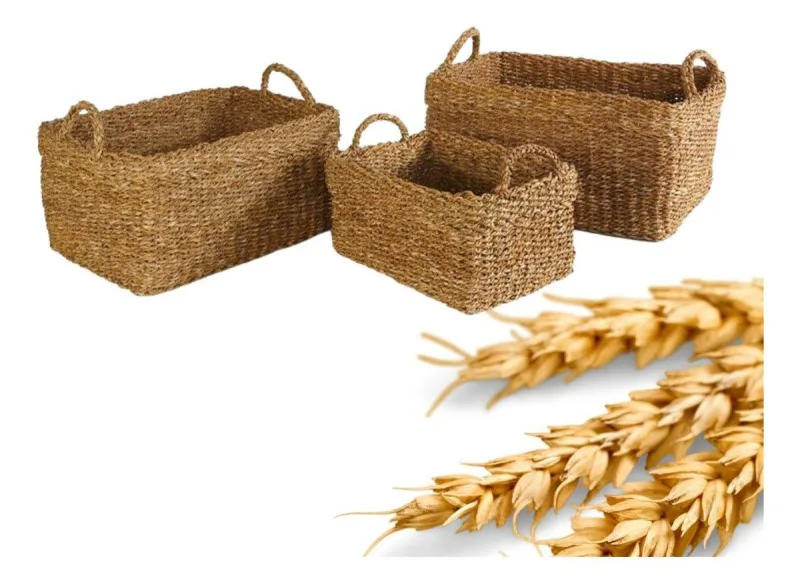 Conjunto 3 Cestos Organizadores Decorativos Rustico Natural - Não Informado - Utilidades Domesticas