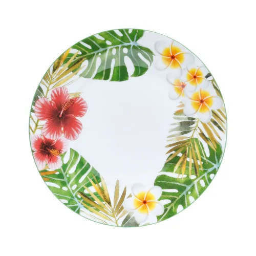 Cj.6 Pratos Rasos Lyor 27cm Super White Amazon - AMAZON