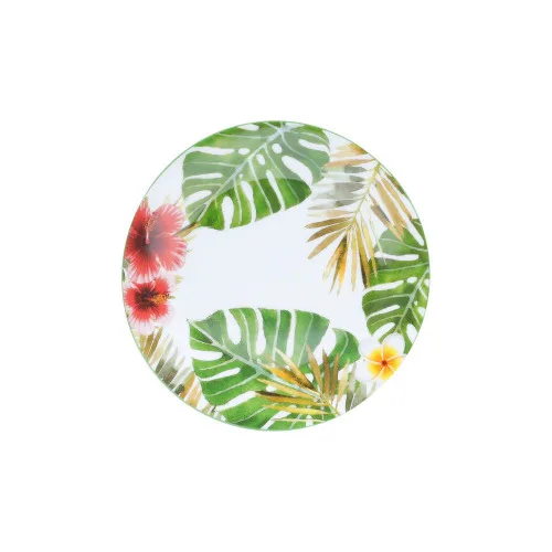 Cj.6 Pratos Sobremesa Lyor 19cm Super White Amazon - AMAZON - Bazar