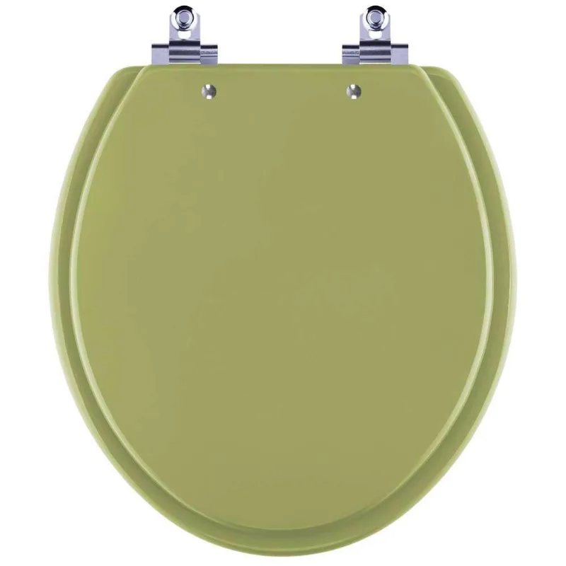 Assento Sanitário Laqueado Soft Close Azalea Verde Itapua Para Vaso Celite