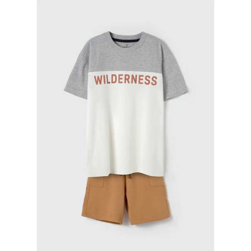 Conjunto Curto Infantil Menino Com Estampa - Cinza 006
