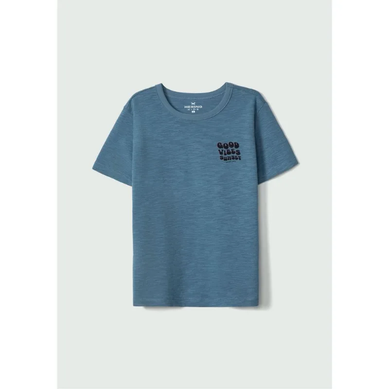 Camiseta Infantil Menino Estampada Flamê - Azul 010